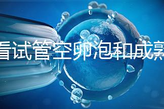 速看試管空卵泡和成熟卵泡能否區(qū)分開(kāi)，這兩大技巧學(xué)起來(lái)