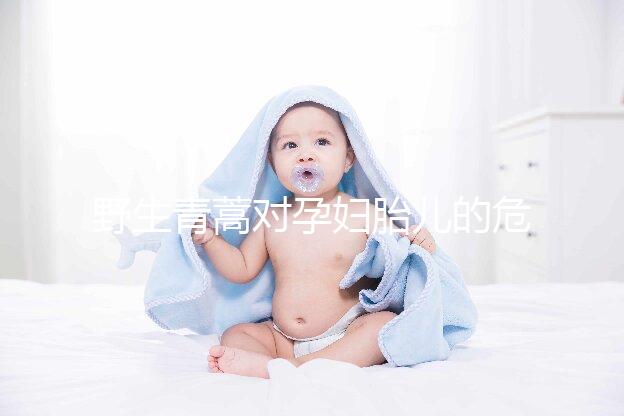 野生青蒿對孕婦胎兒的危害多，能否泡腳、洗澡看這里