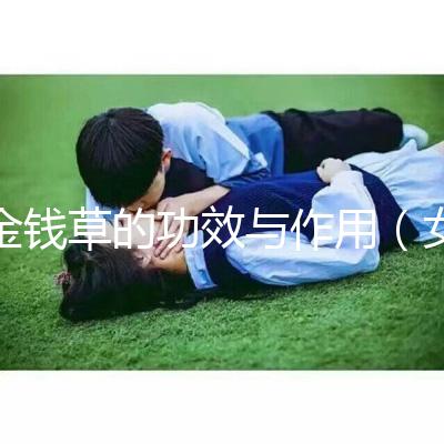 金錢草的功效與作用(女人長期喝金錢草的好處)