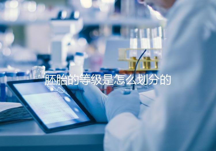 胚胎的等級是怎么劃分的？詳解3天胚胎與5天囊胚的評估標準