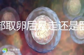 腹部取卵后是走還是臥床？適當走路喝點紅豆水是正確做法