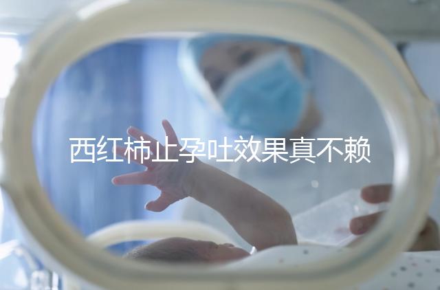 西紅柿止孕吐效果真不賴，選小的生吃或加雞蛋打湯都行