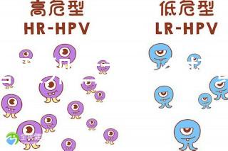 試管取卵后為什么打黃體酮？3大作用的目的都殊途同歸