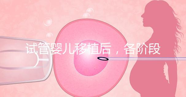 試管嬰兒移植后，各階段如何保胎？