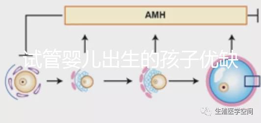 試管嬰兒出生的孩子優(yōu)缺點（試管嬰兒出生的孩子優(yōu)缺點是什么）