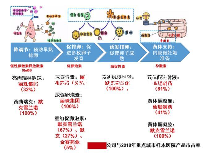 試管嬰兒優(yōu)胚培養(yǎng)囊胚風險特別大，逃不掉這3大原因