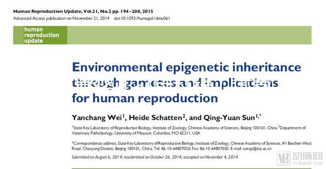 試管嬰兒打針過(guò)程（試管嬰兒打針過(guò)程視頻）