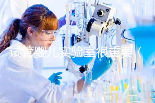 試管嬰兒實(shí)驗(yàn)室很重要(試管嬰兒不為人知的缺陷)