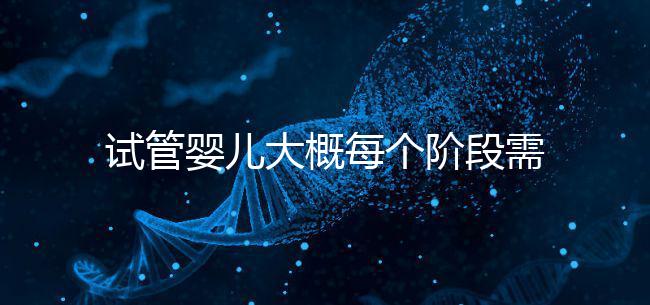 試管嬰兒大概每個階段需要花到多少錢呢？