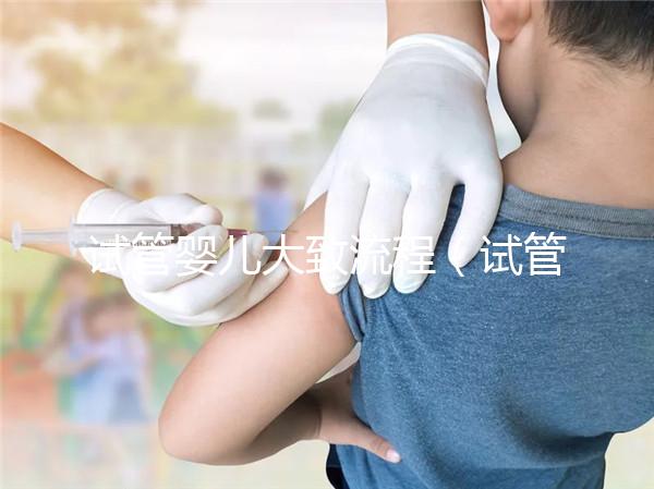 試管嬰兒大致流程(試管嬰兒大致流程圖)