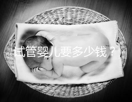 試管嬰兒要多少錢？