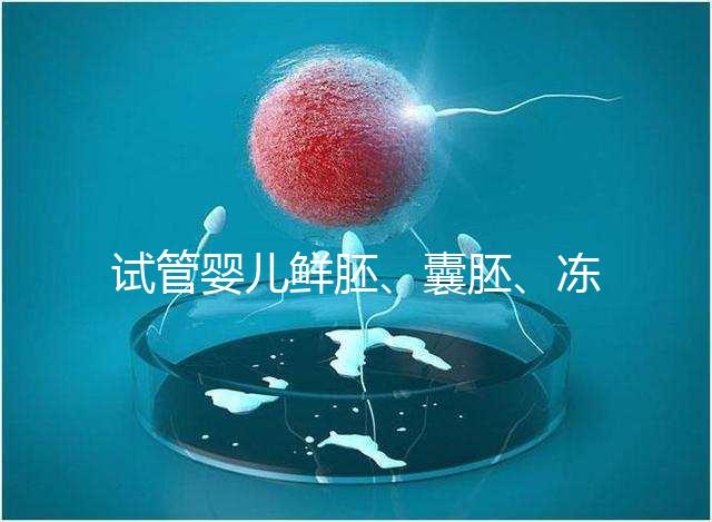試管嬰兒鮮胚、囊胚、凍胚移植那個成功率最高？