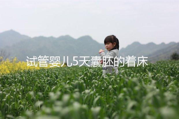 試管嬰兒5天囊胚的著床過程(附視頻)