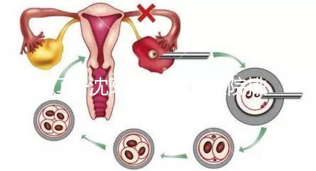 遼寧沈陽試管嬰兒醫(yī)院排名匯總新鮮出爐:這14家值得一看!