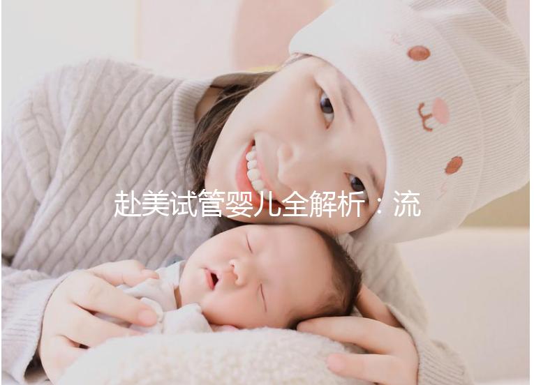 赴美試管嬰兒全解析：流程、費用與醫院推薦