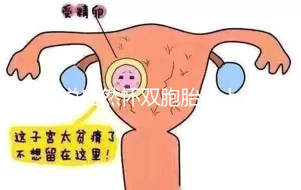 誰說自然懷雙胞胎是上輩子積德了，福報還是孽報一看便知