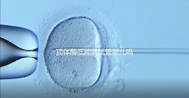 頂體酶低能做試管嬰兒嗎？你想知道的答案全在這