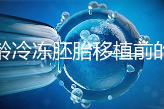 高齡冷凍胚胎移植前的注意事項和禁忌可以清楚地分類嗎?