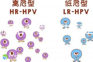 6個(gè)胚胎養(yǎng)囊成功率是多大答案在這，能配成3個(gè)機(jī)會就大