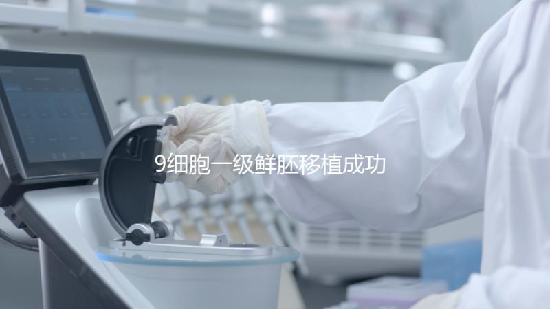 9細(xì)胞一級鮮胚移植成功率分析,和8細(xì)胞2級相比略遜一籌