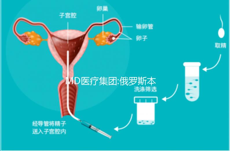 MD醫(yī)療集團:俄羅斯本土已上市的一家母嬰醫(yī)療機構