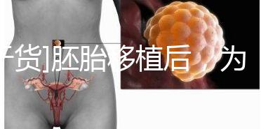 [干貨]胚胎移植后，為什么醫生告訴你不要提前懷孕？