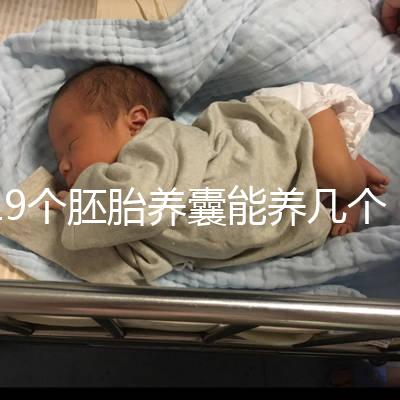 19個胚胎養囊能養幾個真難說，質量好都成功了也屬正常