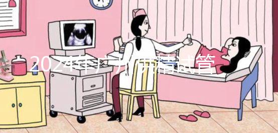 2024年廣州供精試管嬰兒最新價格表，必須符合要求