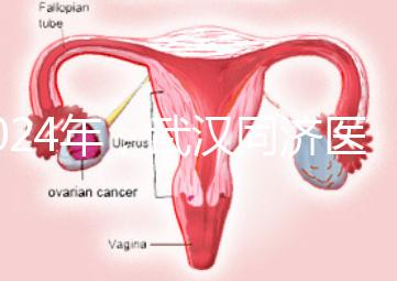 2024年，武漢同濟醫院不孕癥醫生排名公布，選擇專家迅速登記