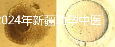 2024年新疆助孕中醫(yī)數(shù)不勝數(shù)，頂尖專家技能水平高