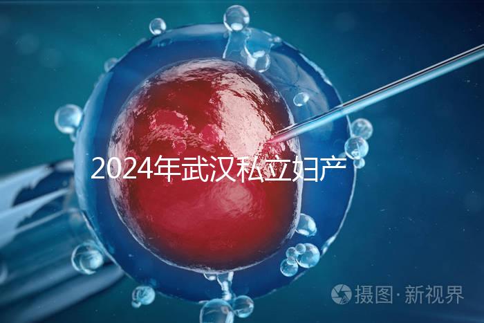2024年武漢私立婦產(chǎn)醫(yī)院排名前十,江漢區(qū)人流良好