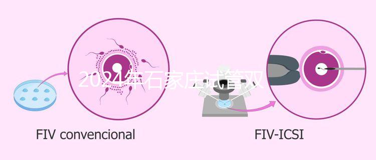 2024年石家莊試管雙胞胎醫院排名，不要錯過新華、長安