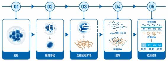 2024鄭州小學生要早知道入學條件，別忘了中原區的這些證件