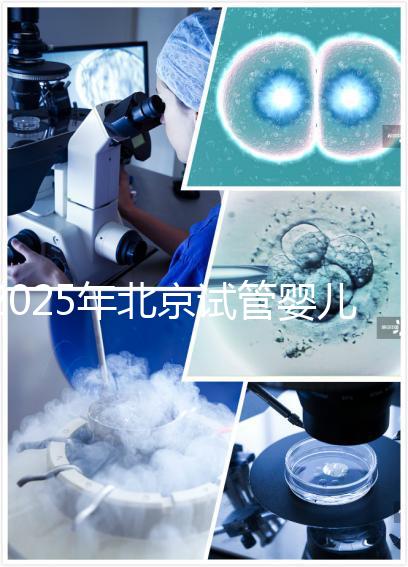 2025年北京試管嬰兒機(jī)構(gòu)哪家強(qiáng)?生育旅程如何開啟?