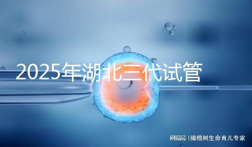 2025年湖北三代試管嬰兒費(fèi)用明細(xì)一覽 附價(jià)格清單！