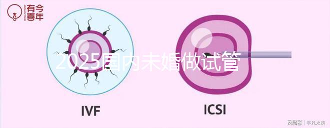 2025國內未婚做試管嬰兒的機構都是哪些？