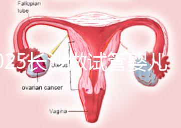 2025長(zhǎng)沙做試管嬰兒貴嗎？一起算算要花多少錢