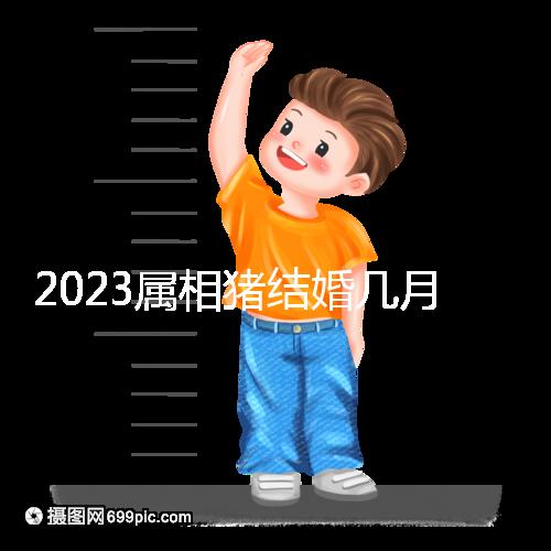 2023屬相豬結(jié)婚幾月好大盤點(diǎn)，選對(duì)了年份雙喜纏身