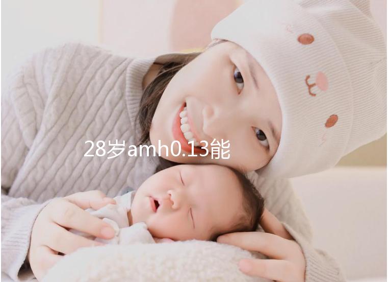 28歲amh0.13能做試管嬰兒嗎？自然懷孕幾率低不妨試試